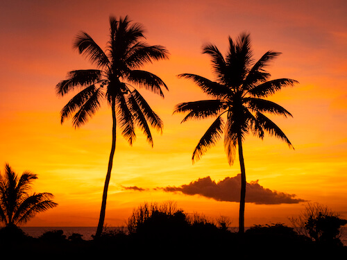 christmas island swell lodge photo tour example 6